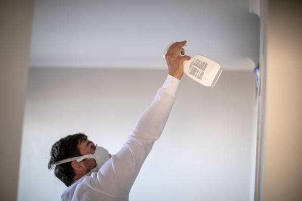 Best Office Mold Removal Services  in Ethete, WY