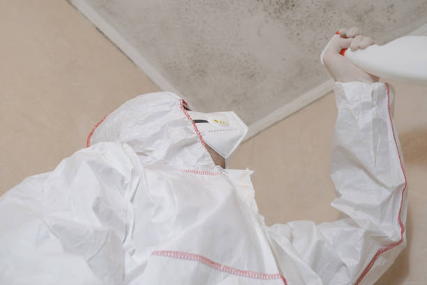 Best Mold Cleaning Services  in Ethete, WY