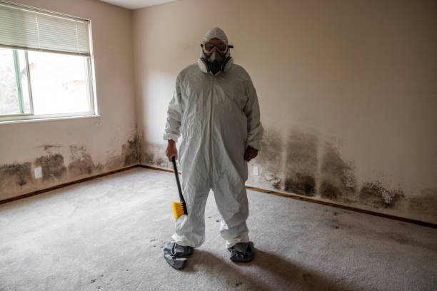 Best Commercial Mold Removal  in Ethete, WY